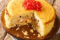 Tahchin Crispy Saffron Rice Casserole Stuffed WithÃÂ Chicken closeup in the plate. horizontal